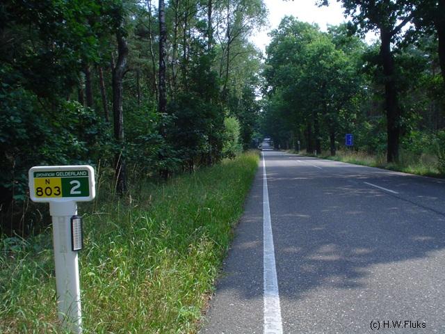 n803