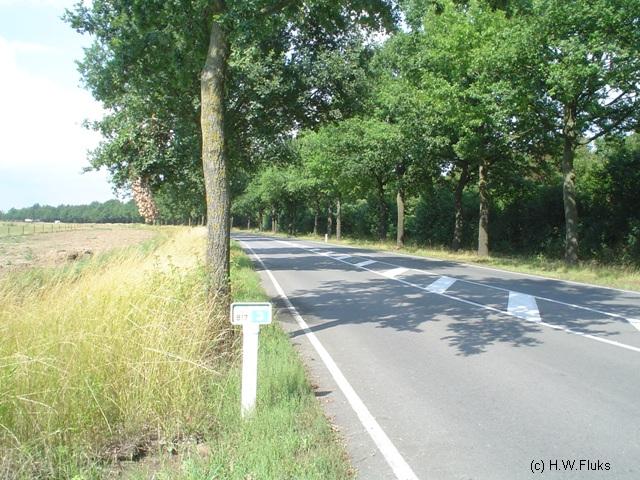n817