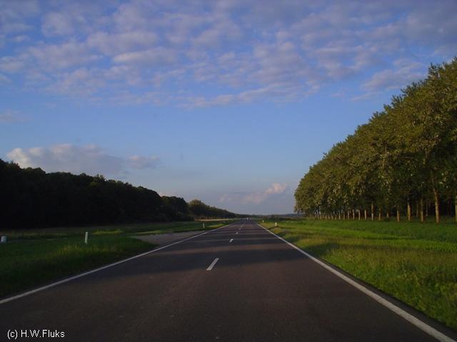 vogelweg