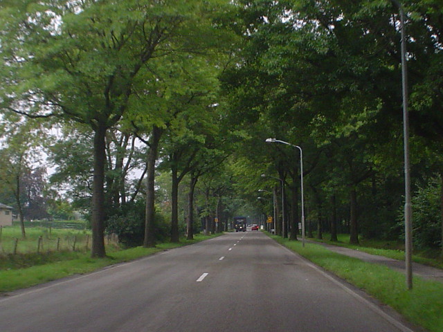 DSC07995n635