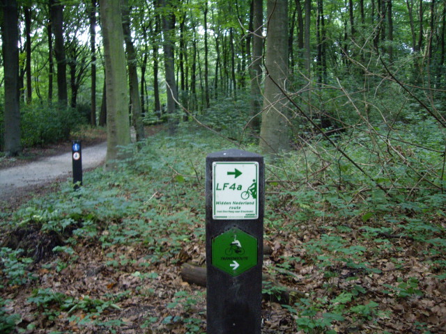IMGP1498lf4haagsebos