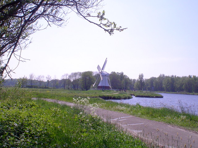 DSC09891a28wittemolen2