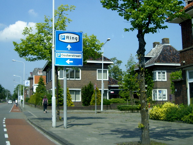 IMGP0313pringdrachten2