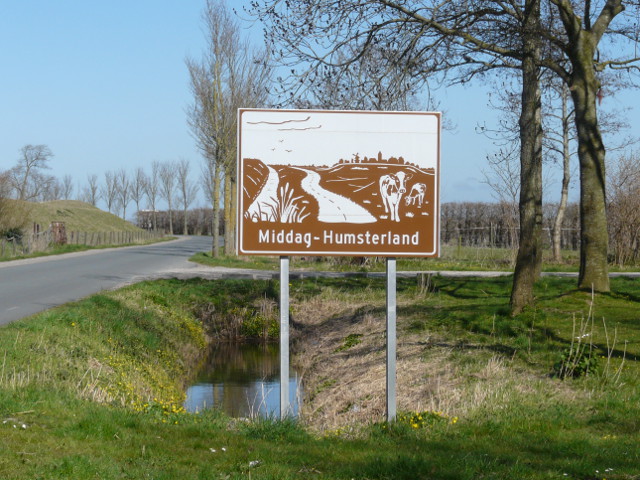 P1140712bruinmiddaghumsterland