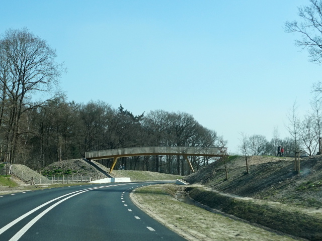 DSC08666r101rondweg