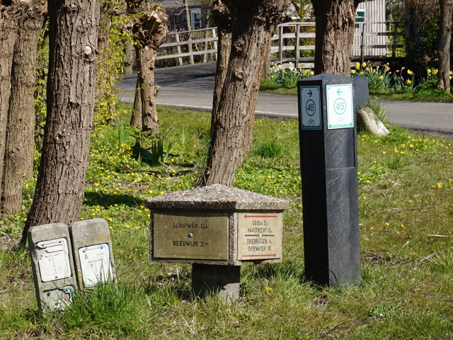 DSC08822antpaddenstoelsluipwijk