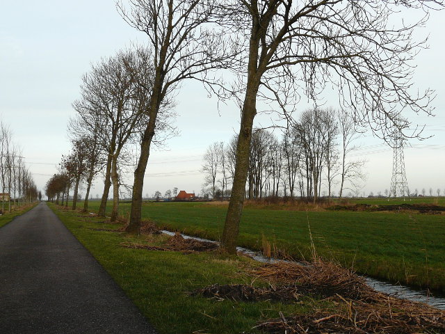 P1020487a50nietvegelinsoord