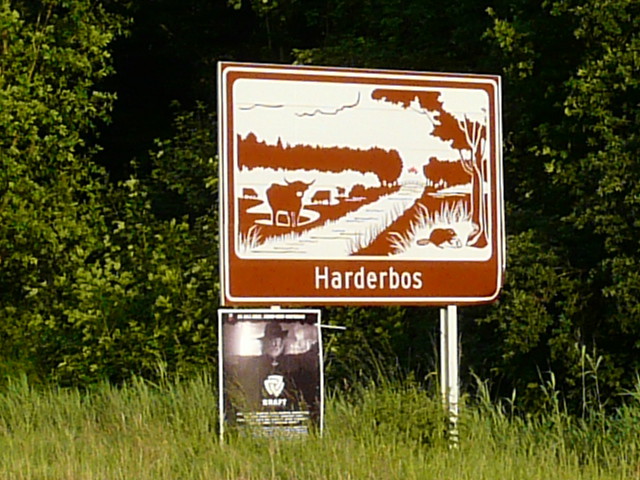 P1170054bruinharderbos