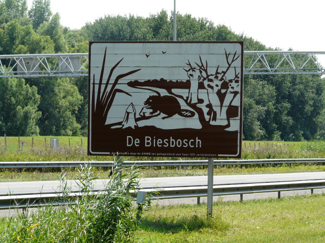 P1170691bruinbiesbosch
