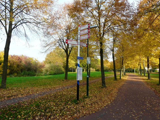 P1200365houtenf1f5