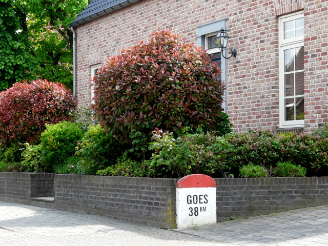 P1240753paal38boz