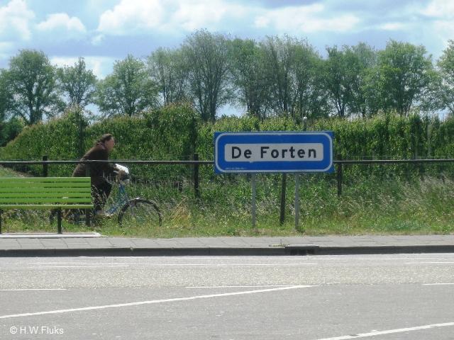 deforten_3528