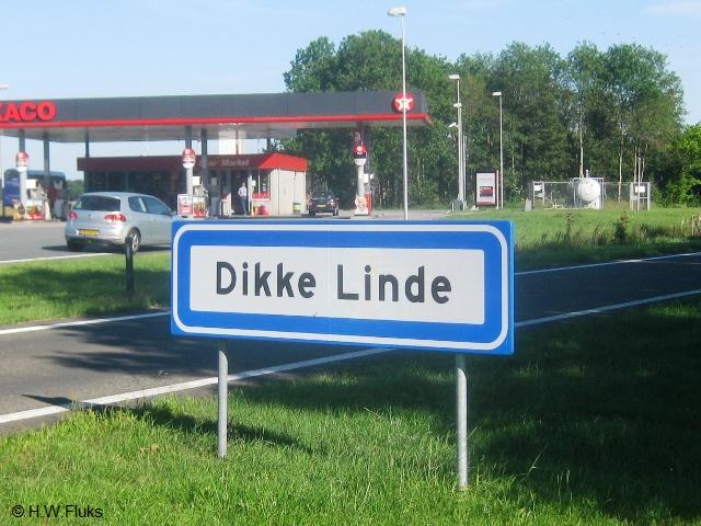 dikkelinde_4003