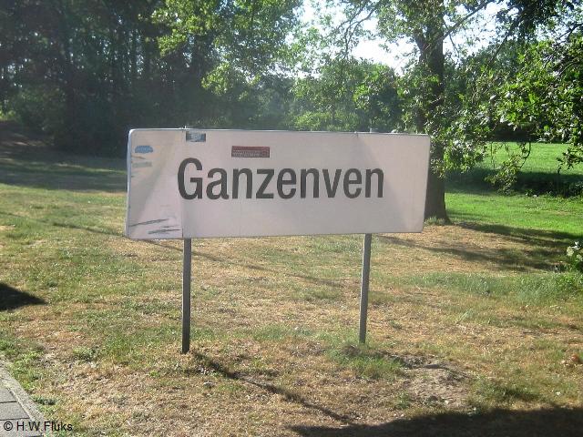 ganzenven_3717