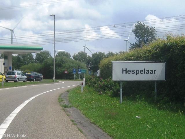 hespelaar_4156