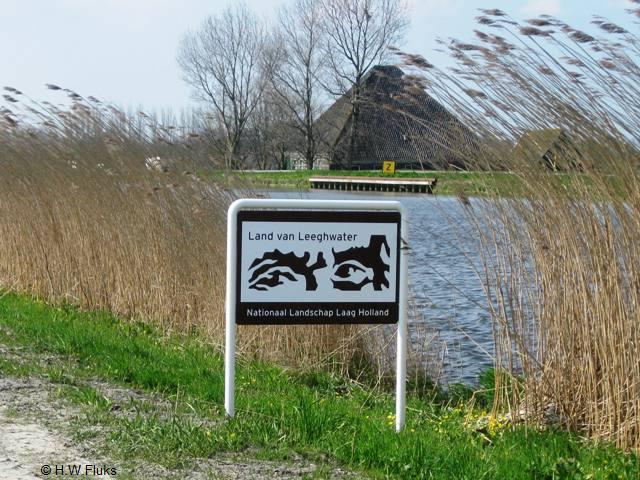 starnmeerlaagholland7143