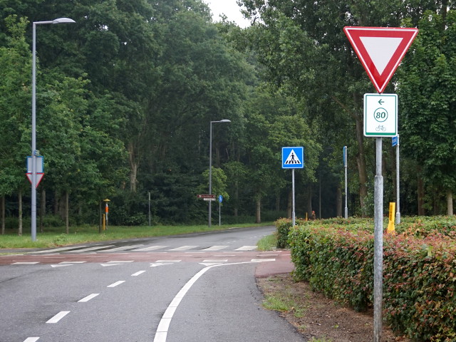 DSC00322k80hoogvliet