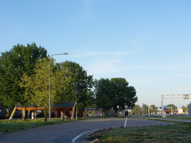 DSC01536vzpvundelaar