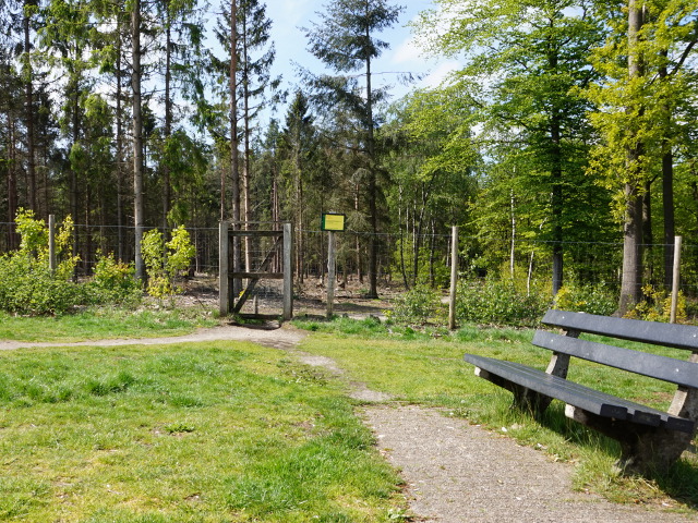 DSC01970vzpbruggelen