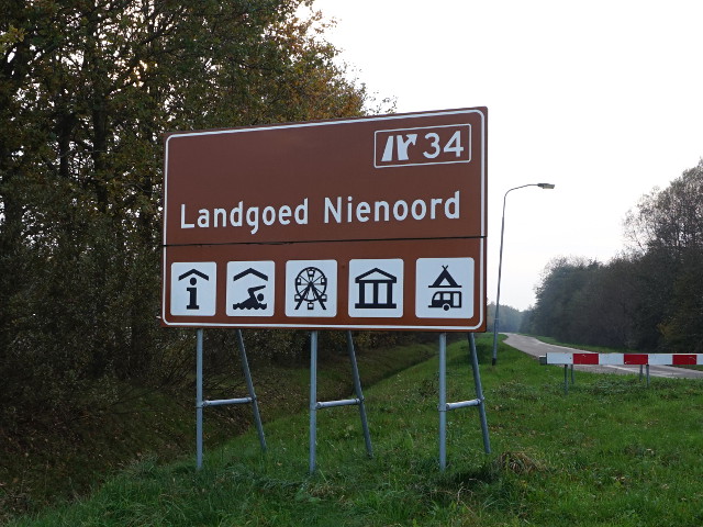 DSC02106bruinnienoordlangsa7