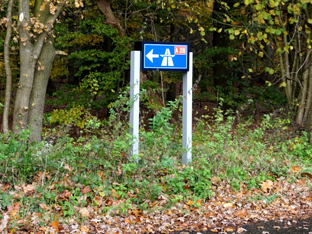 DSC02140a28spier