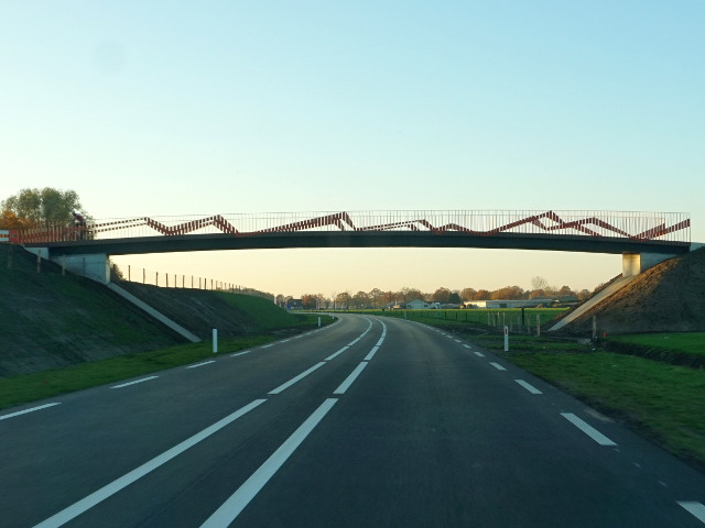DSC02175n605beeld