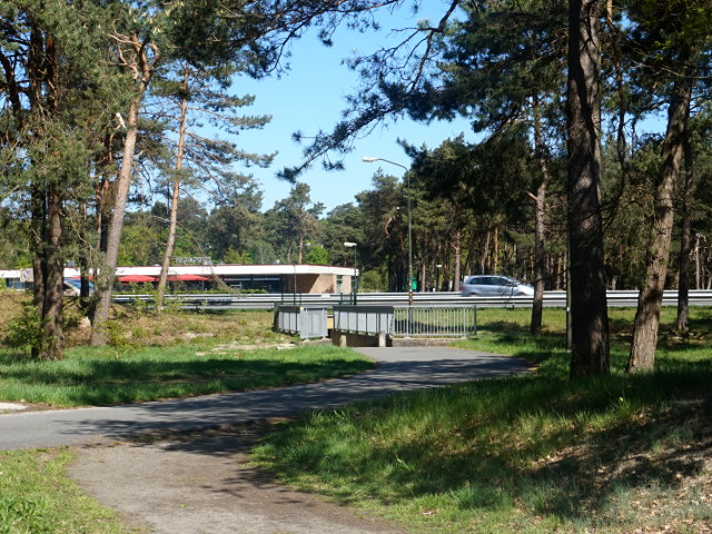 DSC03988vzpwillemsbos