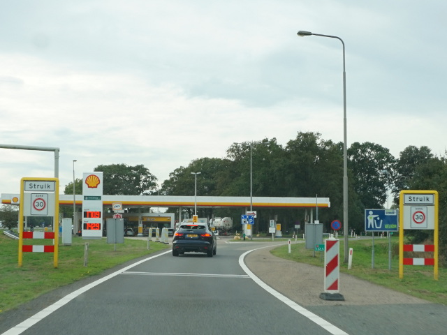 DSC05286vzpstruik