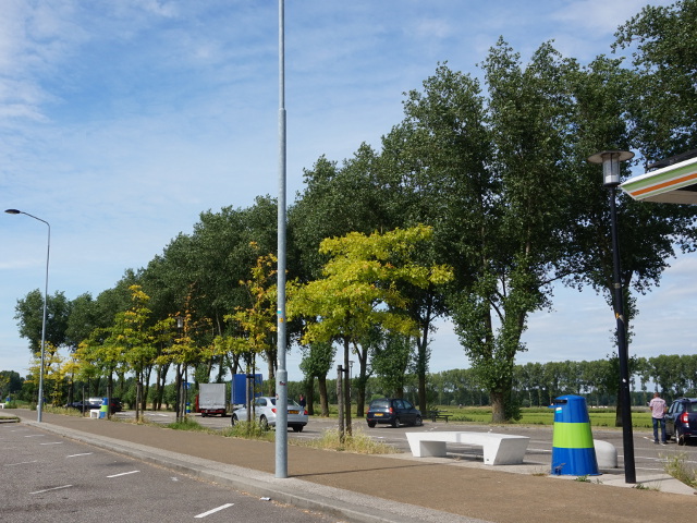 DSC06785vzplingehorst