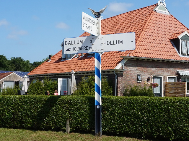DSC01059antiekhollum2
