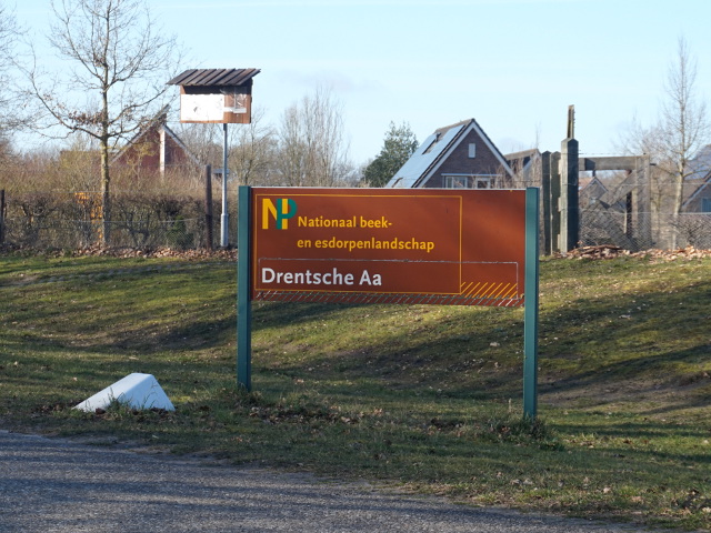 DSC01692bruindrentscheaa