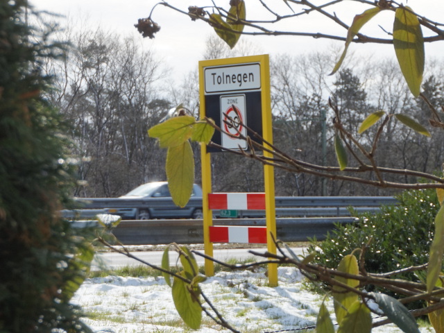 DSC08569vzptolnegennoord