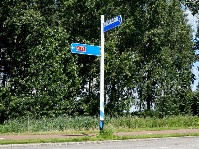 DSC08986a17roodborchwerf