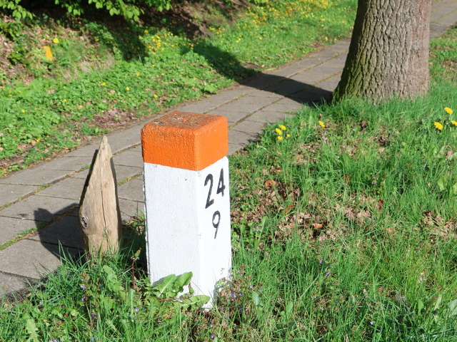 IMG_1213hmpaalalmelo