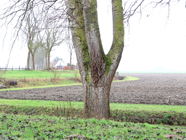 IMG_9111vzpmijnsheerenland