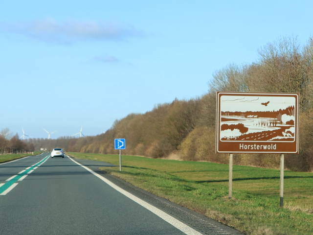 IMG_9233bruinhorsterwold