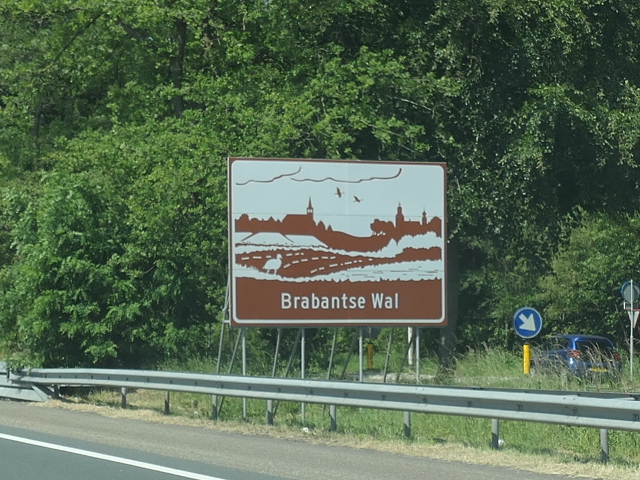 P1060343bruinbrabantsewal