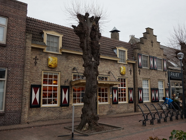DSC00381rijsbergen_z