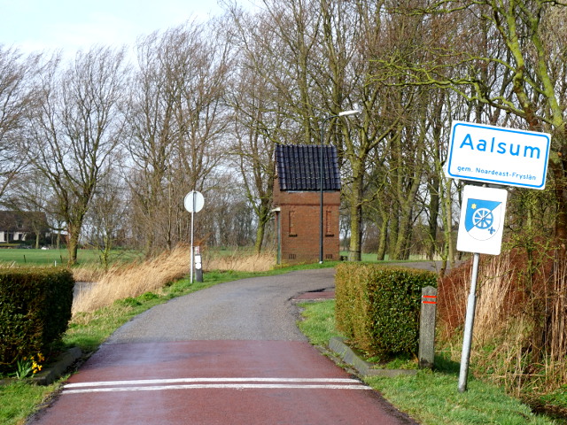 DSC00436aalsum_w
