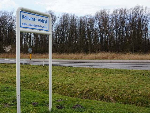 DSC00450kollumeraldsyl_w