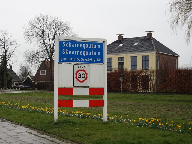 DSC00469scharnegoutum_b