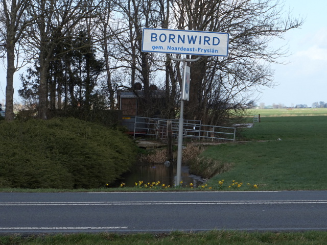 DSC00496bornwird_w