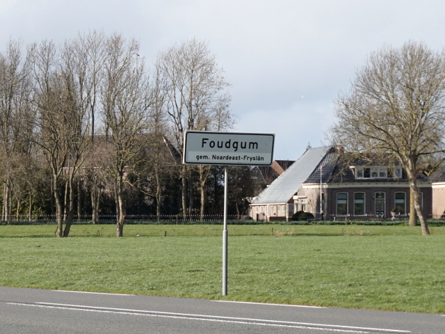 DSC00498foudgum_w
