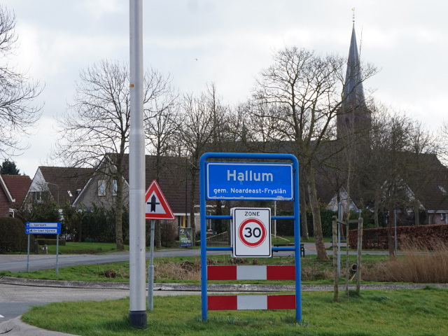 DSC00510hallum_b