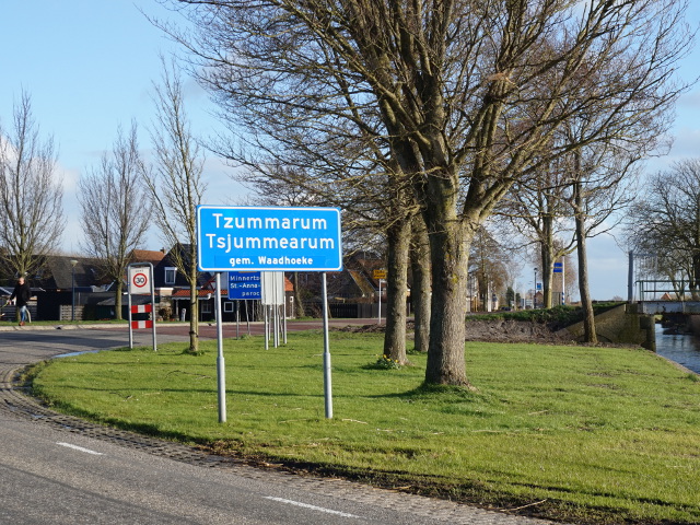 DSC00541tzummarum_b