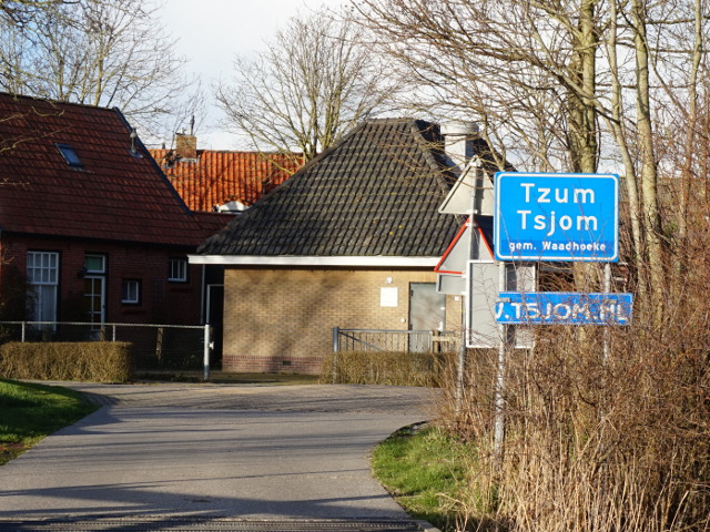 DSC00555tzum_b