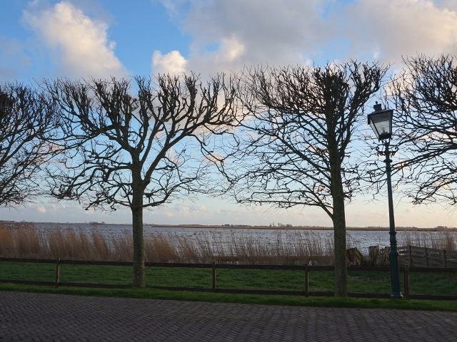 DSC00569sandfirden_z