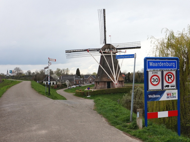 DSC00996waardenburg_b