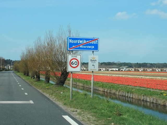 DSC01017noordwijkerhout_e