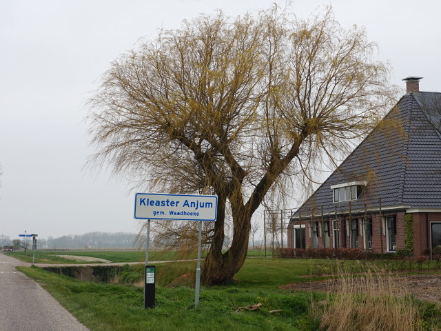 DSC01044kleasteranjum_w